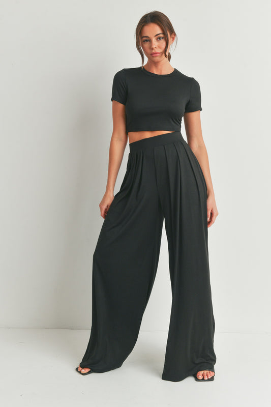 Palazzo Pants and Crop Top Set